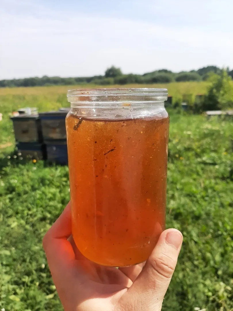 мёд цветочный и прополис в Курске