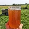 мёд цветочный и прополис в Курске